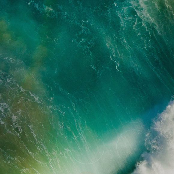 Meet your Posher, Blizzy - Picture 1 of 1